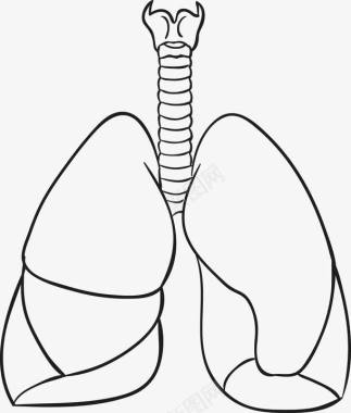 器官内部内脏手绘图图标图标