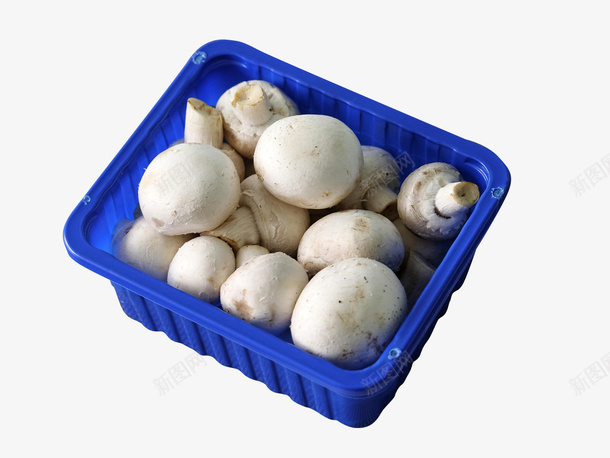 篮筐里的蘑菇png免抠素材_88icon https://88icon.com 白蘑菇 篮子 篮筐 菇类 蘑菇