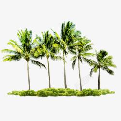 海岸椰子树素材