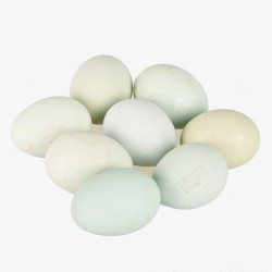 鸡蛋绿壳素材