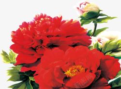 创意水彩合成红色的海棠花元素素材