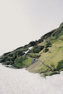 手绘绿色风景湖水背景