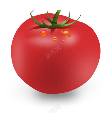 西红柿西红柿插画图标图标