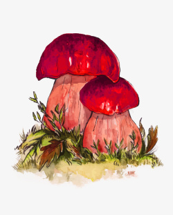 水彩手绘蘑菇素材