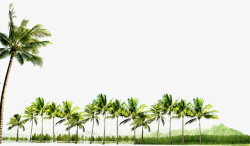 椰子树树林装饰图案素材