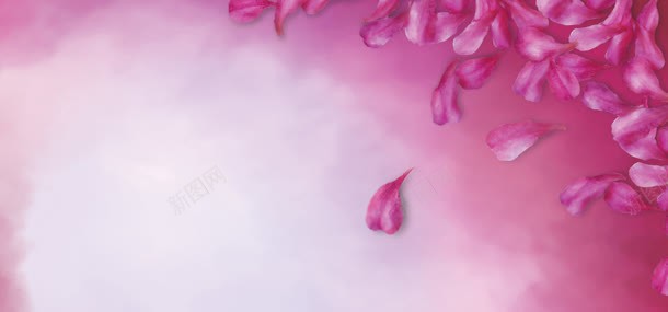紫色花瓣背景背景