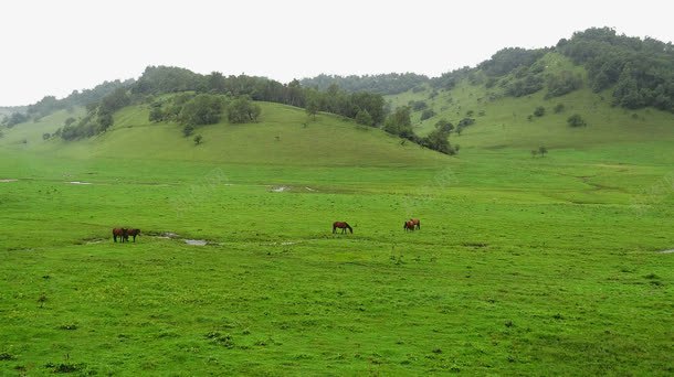 著名陕西关山草原png免抠素材_88icon https://88icon.com 旅游景区 著名景点