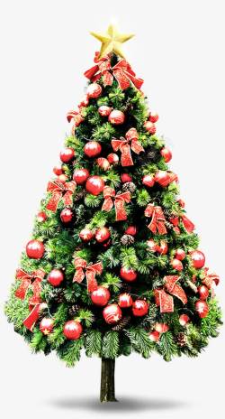 绿色圣诞树装饰素材