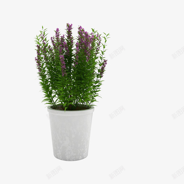 绿色植物花png免抠素材_88icon https://88icon.com 植物 盆景 绿色 花