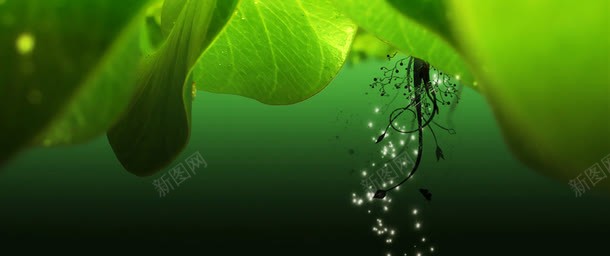 摄影绿色的草本植物合成png免抠素材_88icon https://88icon.com 合成 摄影 绿色 草本植物