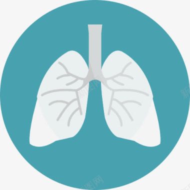 医疗保健和医学肺图标图标