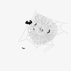 蝙蝠蜘蛛网素材