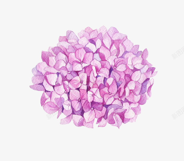 手绘紫色唯美花束png免抠素材_88icon https://88icon.com 唯美 手绘 手绘紫色唯美花束 紫色 花朵 花束