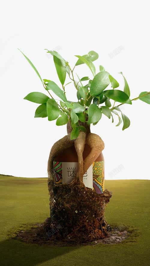 植物png免抠素材_88icon https://88icon.com 创意瓶子 植物种子 生根 绿色叶子 腿