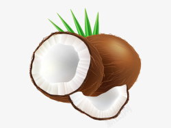 椰子和椰子壳素材