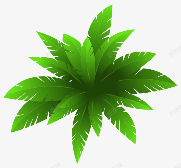 绿色热带植物元素png免抠素材_88icon https://88icon.com 植物 渐变 热带 环境 生长 纹理 绿色 装饰