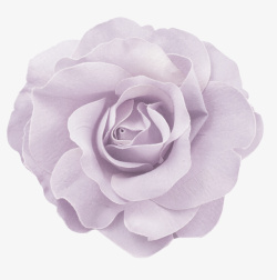 淡紫色花朵装饰图案素材