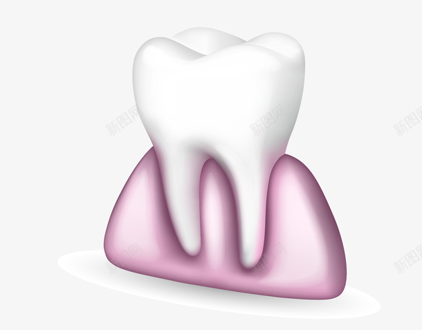 牙齿与牙龈矢量图eps免抠素材_88icon https://88icon.com 3D牙齿与牙龈 牙龈健康刷牙防蛀牙 矢量图