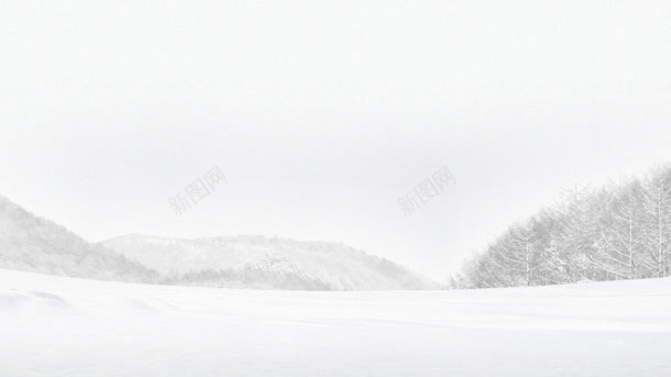 白色冬日洁净树林jpg设计背景_88icon https://88icon.com 冬日 树林 洁净 白色