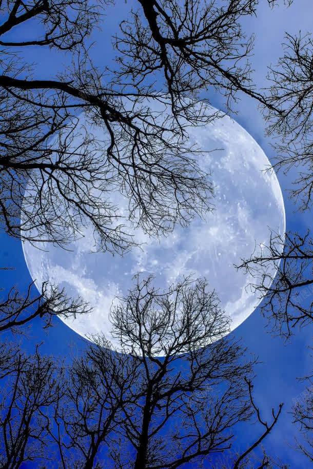 月光景观风景壁纸jpg设计背景_88icon https://88icon.com 壁纸 景观 月光 风景