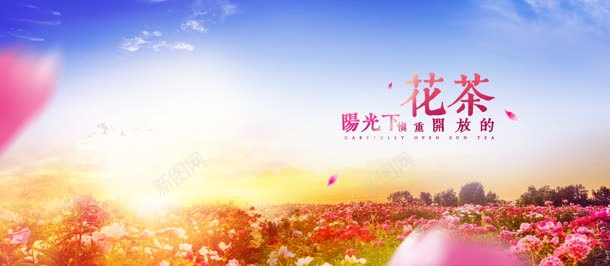 花茶唯美背景bannerjpg设计背景_88icon https://88icon.com banner 唯美 背景 花茶