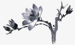 中国风水墨花卉素材