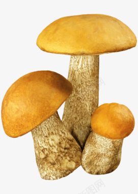 蘑菇绿色植物蘑菇图标图标