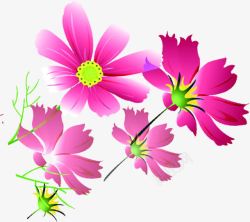 紫色卡通花朵植物手绘素材