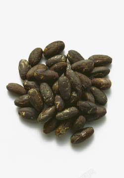 黑色的成熟可可果的可可豆素材