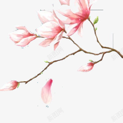粉红色的花儿png免抠素材_88icon https://88icon.com 免抠 彩色 植物 花朵