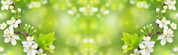 花丛jpg设计背景_88icon https://88icon.com 花丛