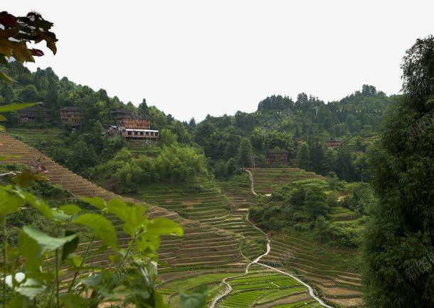 广西龙脊梯田风景png免抠素材_88icon https://88icon.com 广西 旅游 景点 美景 风景