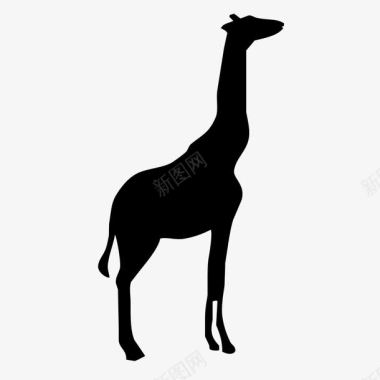 黑色长颈鹿剪影图标图标