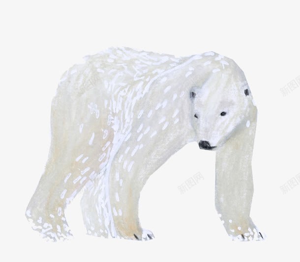 野生动物北极熊图png免抠素材_88icon https://88icon.com 动物 北极熊 可爱 手绘 插画 熊 白色 野生动物