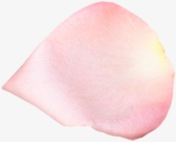 单片粉色植物花瓣素材