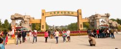 北京野生动物园北京景点野生动物园高清图片
