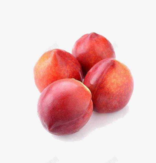 四个杏子png免抠素材_88icon https://88icon.com 杏子 果实 水果 红杏