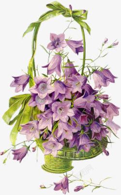 紫色花朵花篮素材
