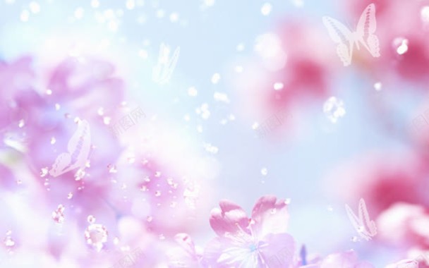 梦幻粉色花朵水珠背景