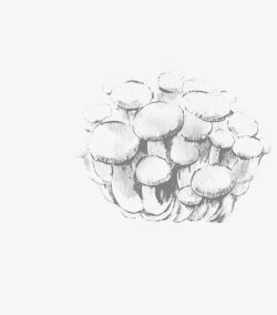 水墨透明蘑菇素材