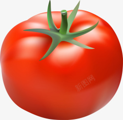 红色蔬果西红柿素材