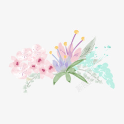 水彩绘花卉植物素材