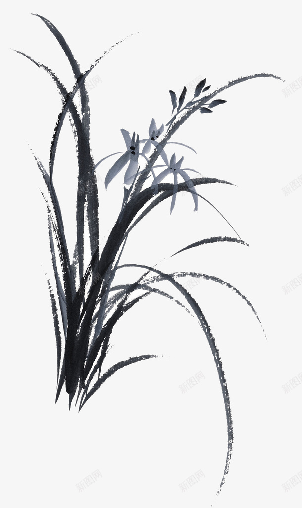 素描植物png免抠素材_88icon https://88icon.com png图形 植物 水墨 花朵 装饰