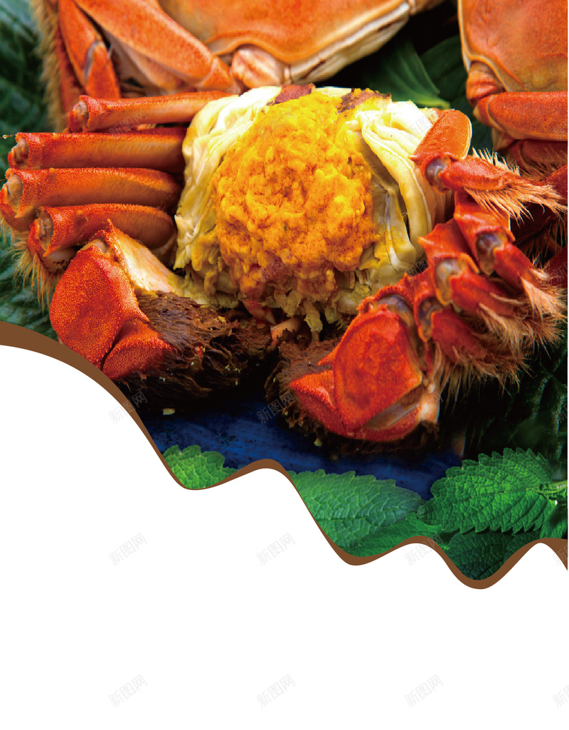 美味的大闸蟹H5背景矢量图ai设计背景_88icon https://88icon.com H5素材 大闸蟹 树叶 海鲜 矢量图 美味 花纹底框 螃蟹