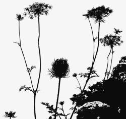 黑色花卉植物背景装饰矢量图素材