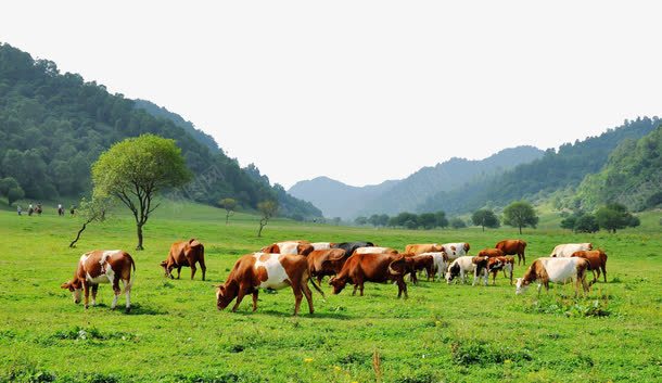 旅游景区陕西关山草原png免抠素材_88icon https://88icon.com 旅游景区 景区 著名景点