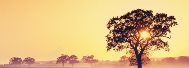 美丽的背景背景