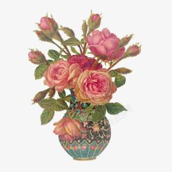 粉色月季花花瓶手绘素材
