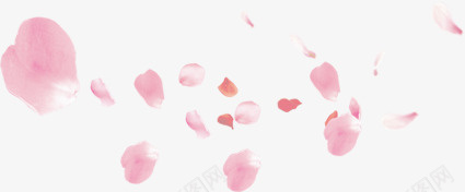 唯美粉红色花瓣装饰png免抠素材_88icon https://88icon.com 唯美 婚礼 红色 花瓣