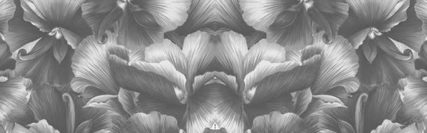黑白质感花朵海报背景jpg设计背景_88icon https://88icon.com 海报 背景 花朵 质感 黑白